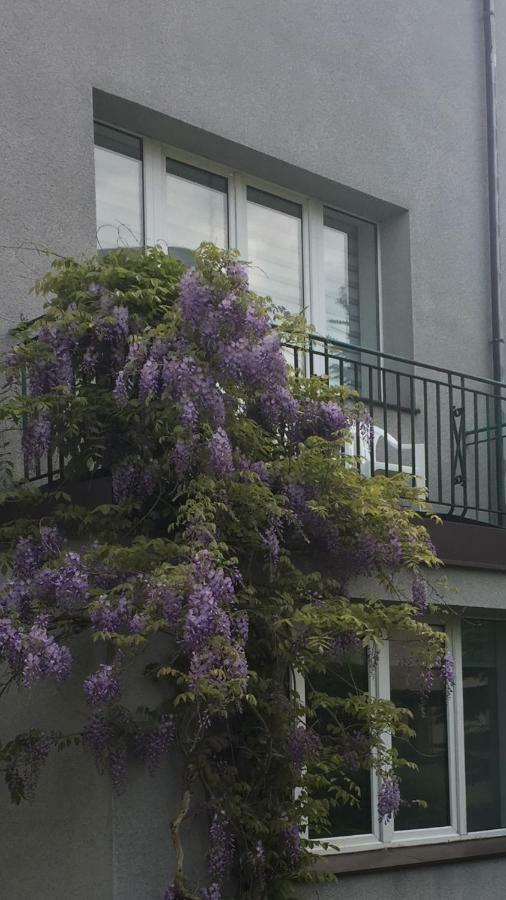 Willa Przy Plazy Gdynia Kamienna Gora Exterior photo